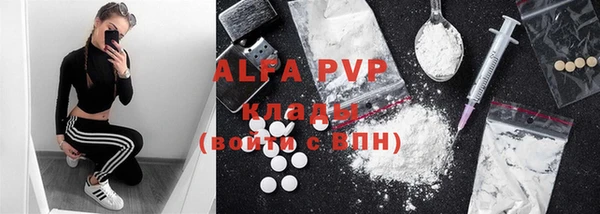 ECSTASY Новодвинск
