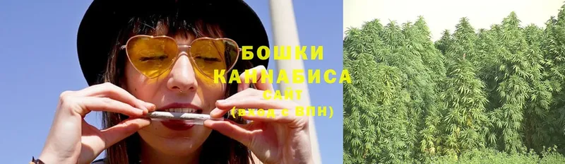 дарнет шоп  Алупка  МАРИХУАНА SATIVA & INDICA 